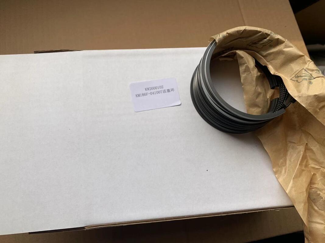 Ring Generator Maintenance Spare Parts Containing Graphite Materials to Enhance Durability and Operational Consistency